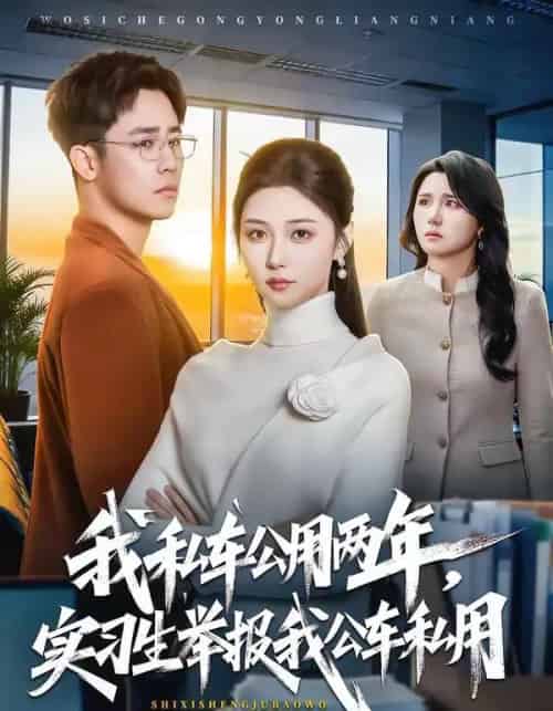 我私车公用两年，实习生举报我公车私用（63集全）程雅昭＆车婷婷-搜外项目网