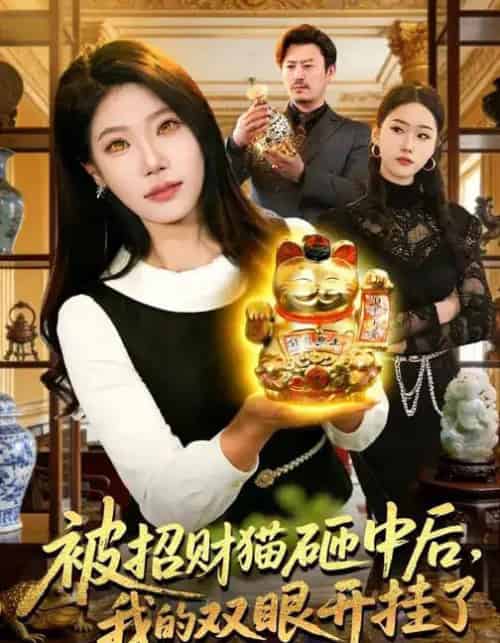 被招财猫砸中后,我的双眼开挂了(101集全)胡艺瀚&徐言达&杨宽-搜外项目网