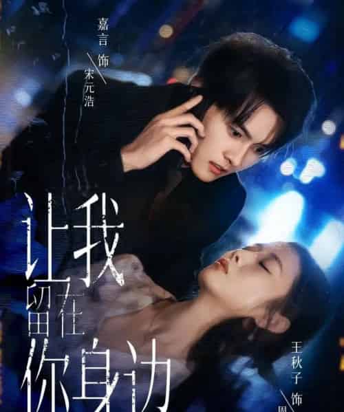 让我留在你身边(59集全)嘉言&王秋子-搜外项目网