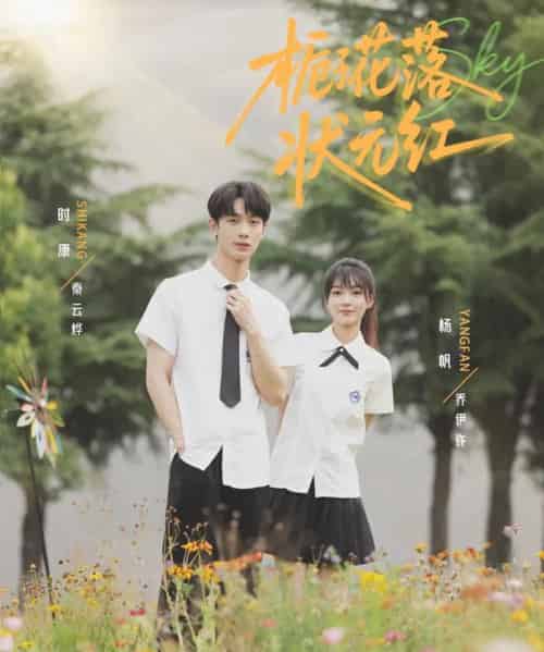 栀子花落状元红（50集）时康＆杨帆-搜外项目网