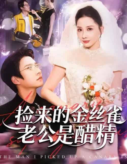 捡来的金丝雀老公是醋精（129集全）白羽＆郭明雪-搜外项目网