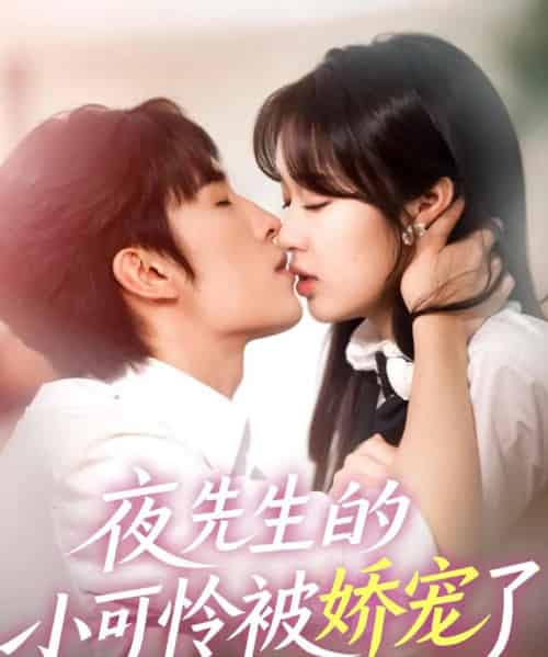 夜先生的小可怜被娇宠了（87集）王博＆吴佳璐-搜外项目网