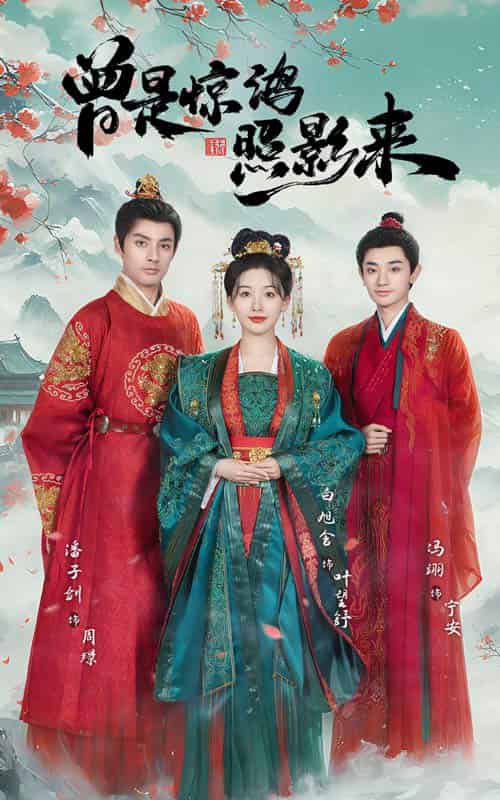 曾是惊鸿照影来（64集全）潘子剑＆白旭含-搜外项目网