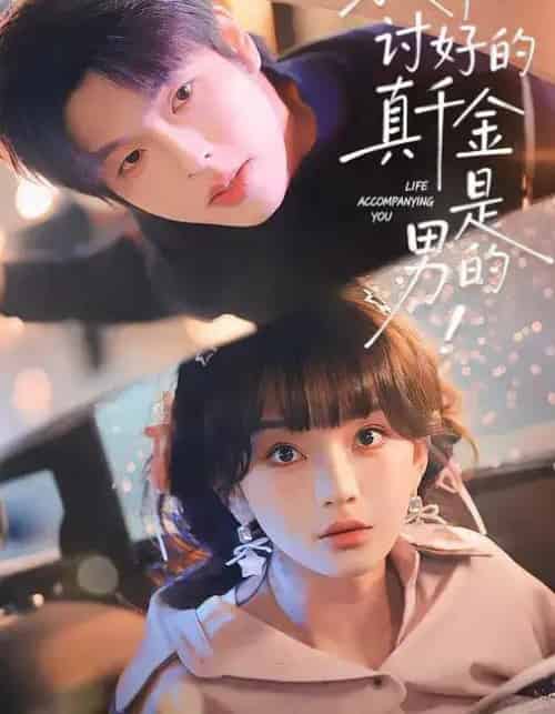 救命!讨好的真千金是男的!&救命讨好的真千金是男的(120集全)向帅&徐波滴-搜外项目网