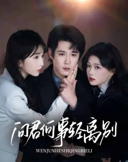 问君何事轻离别(30集)郝顺&程七月-搜外项目网