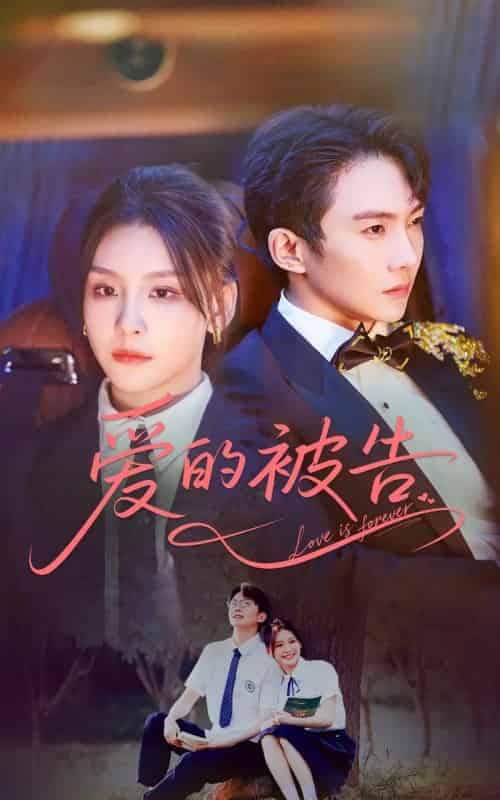 爱的被告（70集）金锦灿＆黄圣桀-搜外项目网