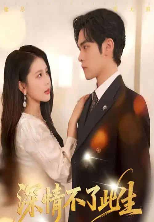 深情不了此生 （60集全）丁海霞＆陆天玮-搜外项目网