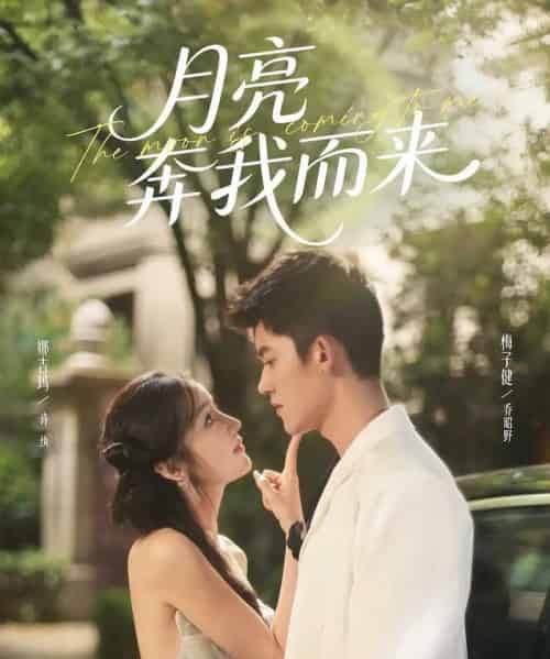 月亮奔我而来（74集全）梅子健＆娜吉玛-搜外项目网