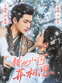 错把山河葬相思（60集全）王皓祯＆卢C鹿鹿-搜外项目网