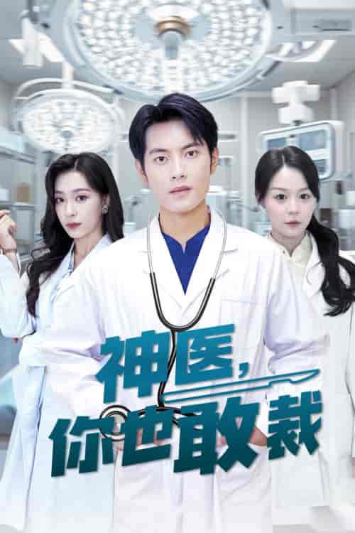 神医你也敢裁（28集）-搜外项目网
