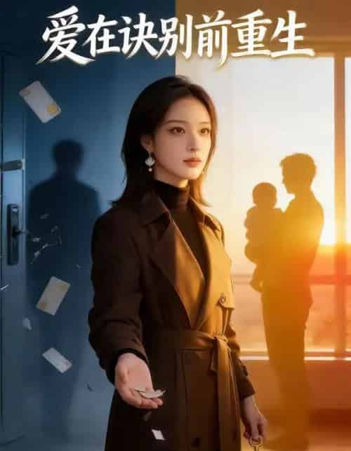 爱在诀别前重生（45集全）AI-搜外项目网