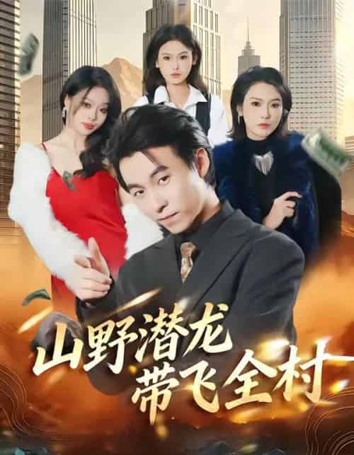 山野潜龙带飞全村（70集全）刘磊＆陈晓媞-搜外项目网