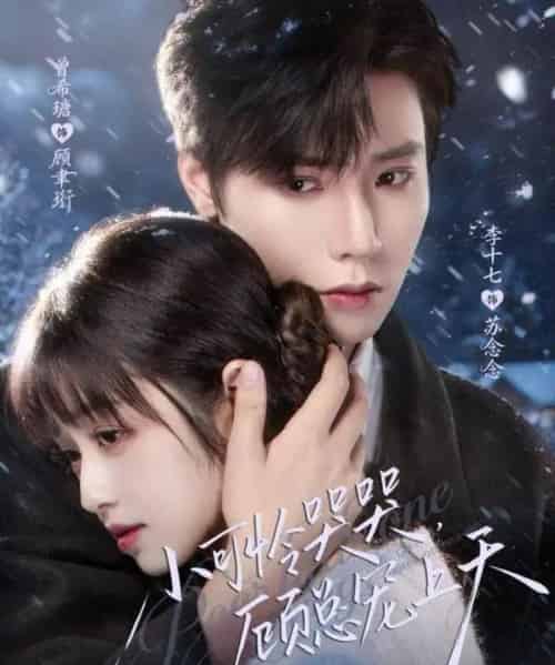 小可怜哭哭，顾总宠上天＆小可怜揣崽顾总宠上天（77集全）曾希瑭＆李十七-搜外项目网