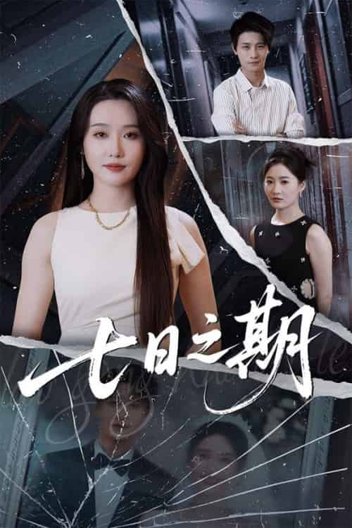 七日之期（90集全）刘雪莹＆刘方为-搜外项目网