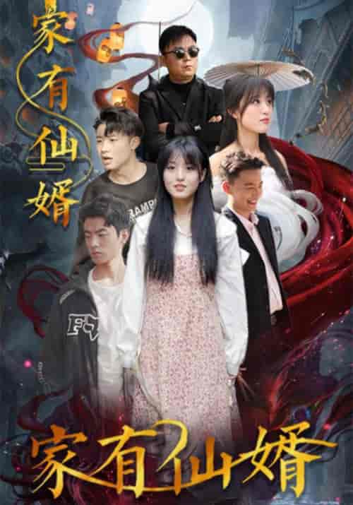 家有仙婿（80集全）刘一鸣＆春柔-搜外项目网