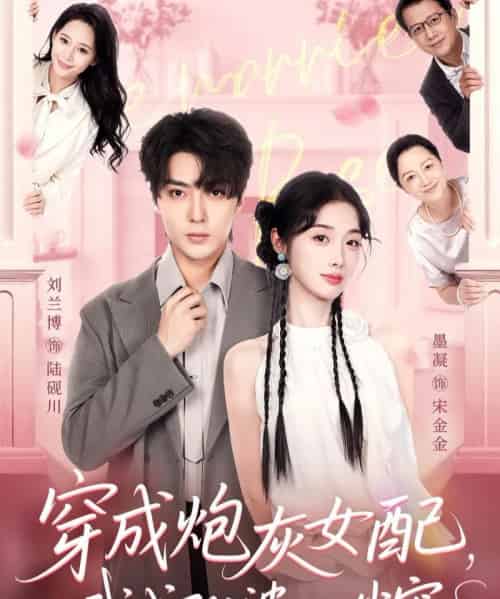 穿成炮灰女配,我成了公婆心尖宠(110集全)刘兰博&墨凝-搜外项目网