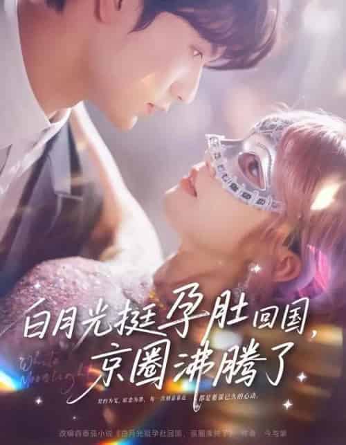 白月光挺孕肚回国，京圈沸腾了（79集全）张嘉松＆章凱玥-搜外项目网