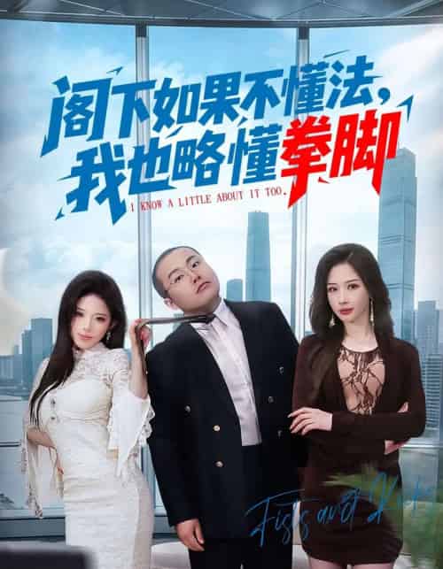 阁下如果不懂法，我也略懂拳脚（77集全）魏华＆徐诗颖-搜外项目网