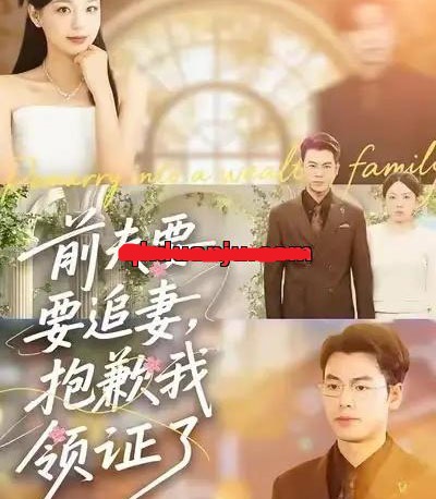 前夫要追妻，抱歉我领证了（81集全）柏欢洲＆刘煜烨-搜外项目网