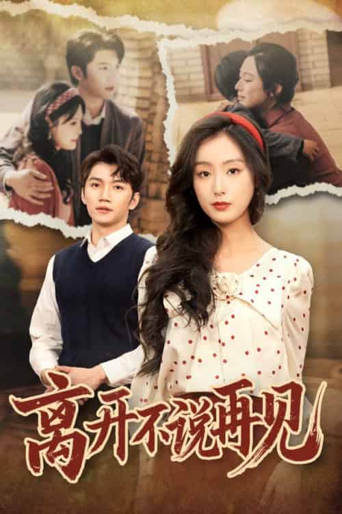 离开不说再见（38集全）金佳遇＆李文瑞-搜外项目网