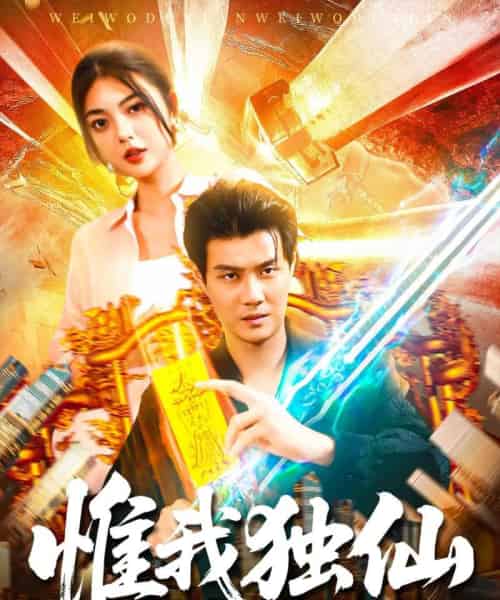 惟我独仙（89集全）邵迪＆傅思童-搜外项目网