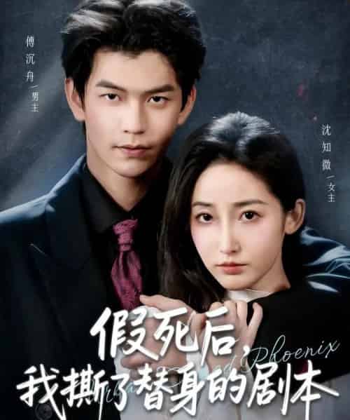 假死后，我撕了替身的剧本＆替身掉马后，傅爷连夜清算（78集全）张嘉松＆徐忠慧-搜外项目网