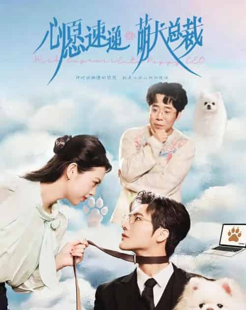 心愿速递之萌犬总裁（50集全）蓝曦鹿＆蒋辰瑞-搜外项目网