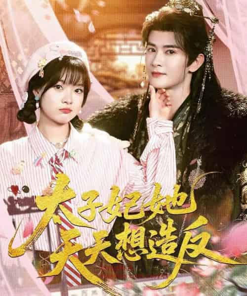 太子妃她天天想造反（89集全）陈冠峄＆杨帆-搜外项目网