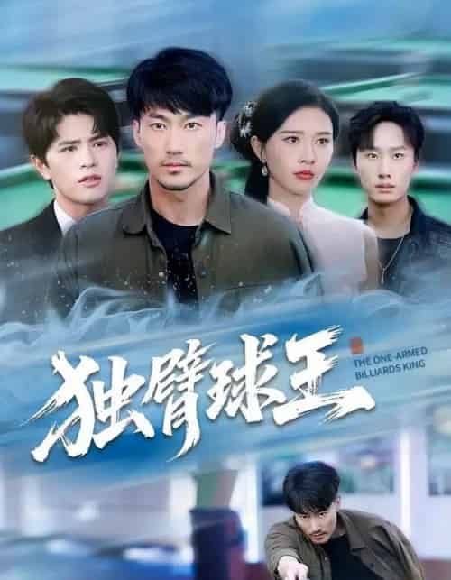 独臂球王＆不服输的球王（82集全）张子唯＆李帛轩-搜外项目网
