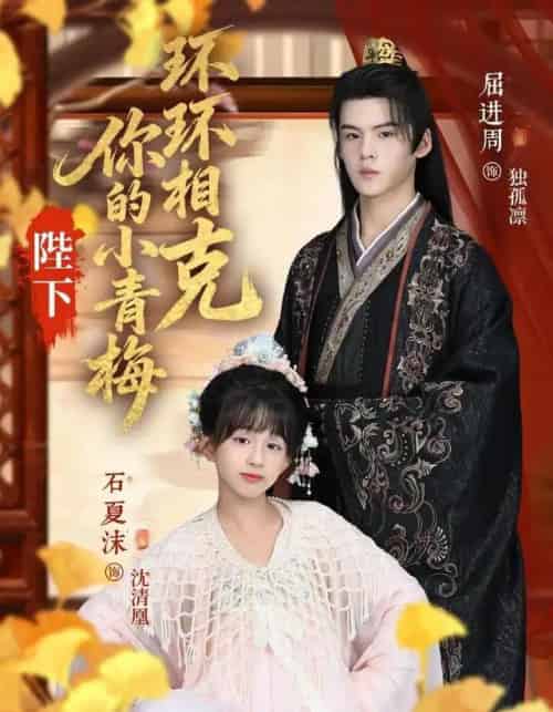 陛下你的小青梅环环相克（69集全）夏沫＆屈进周＆叶子怡＆彭伟敏-搜外项目网