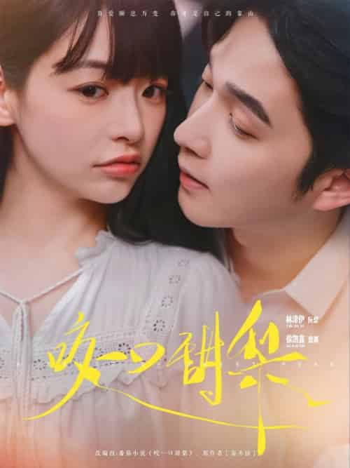 咬一口甜梨（80集全）徐凯鑫＆林津伊-搜外项目网