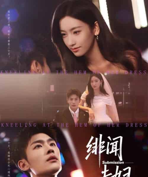 绯闻夫妇（80集）张培宝-搜外项目网