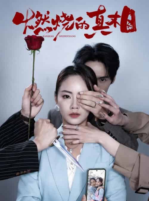 燃烧的真相（60集）徐真＆周千-搜外项目网