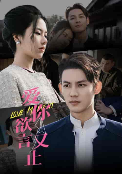 爱你欲言又止（80集）爆款-搜外项目网