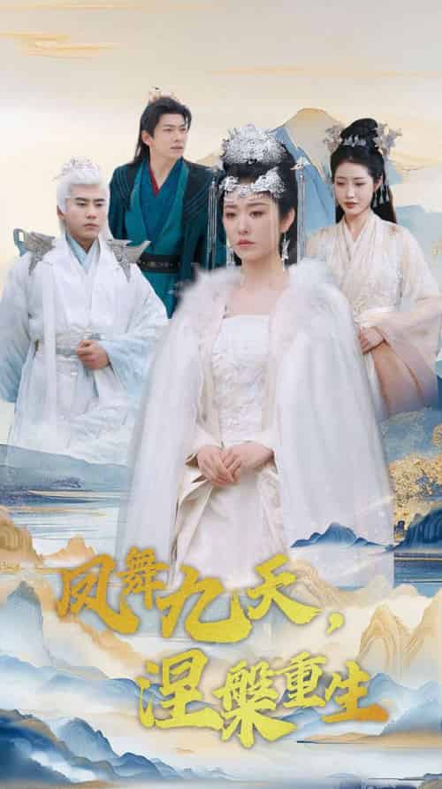 凤舞九天涅槃重生(39集全)宋秦毅&戴琪轩-搜外项目网