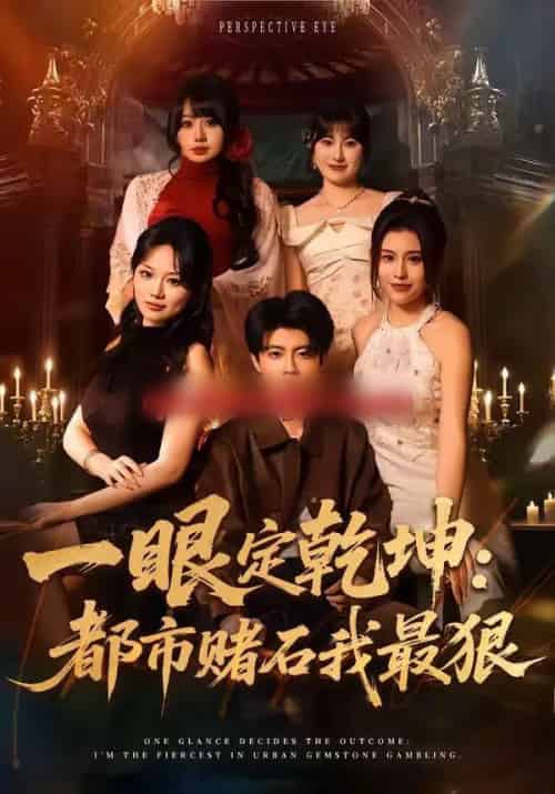 一眼定乾坤：都市赌石我最狠（83集全）党琪凯＆陈颜-搜外项目网