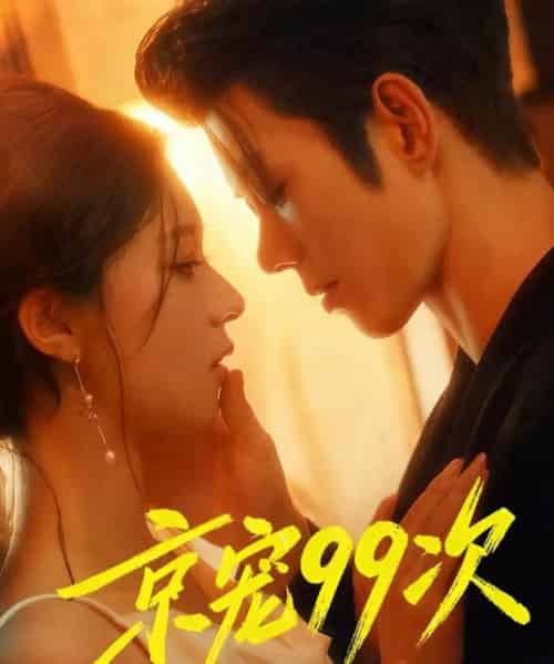 京宠99次（60集全）蓝博＆崔一梁-搜外项目网