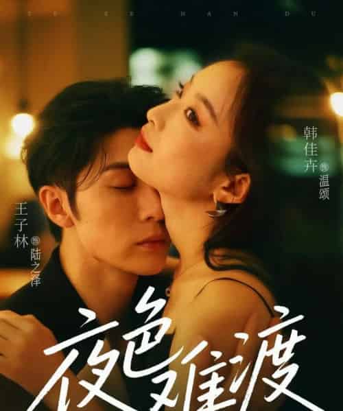夜色难渡（70集）王子林＆韩佳卉-搜外项目网