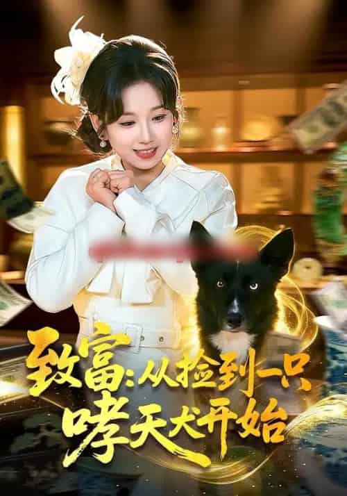 致富：从捡到一只哮天犬开始（93集全）曲笑孝＆张策-搜外项目网