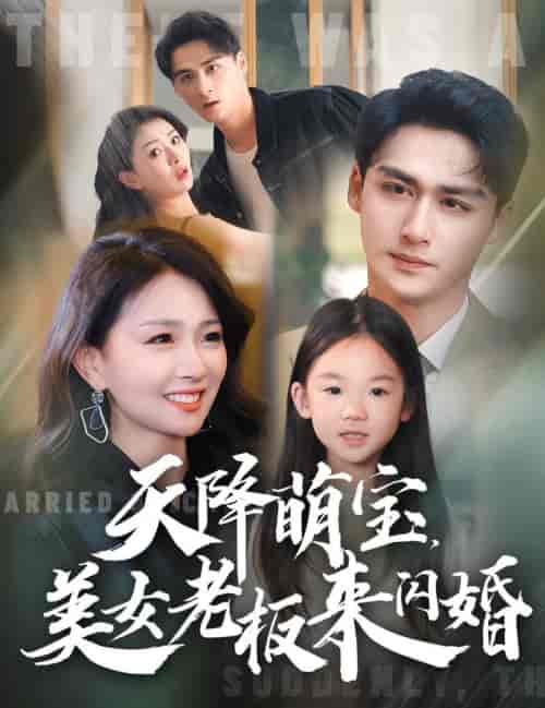 天降萌宝美女老板来闪婚（80集全）-搜外项目网