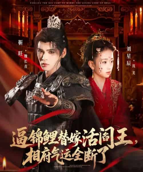 逼锦鲤替嫁活阎王，相府气运全断了（60集全）刘星辰＆靳旺-搜外项目网