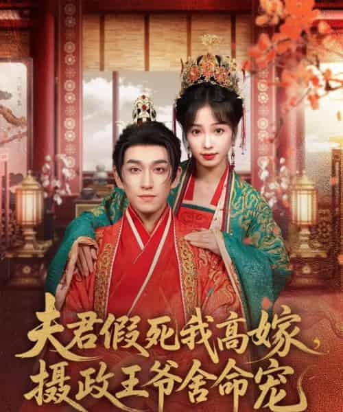 夫君假死我高嫁，摄政王爷舍命宠（80集）陆元＆林可汉-搜外项目网