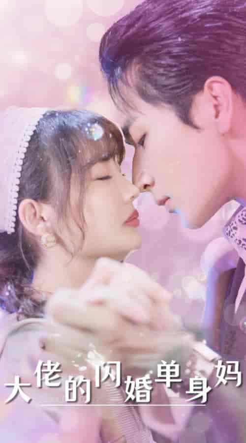 大佬的闪婚单身妈（80集全）-搜外项目网
