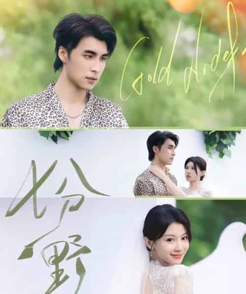 七分野（78集）薛泽源＆何田田-搜外项目网