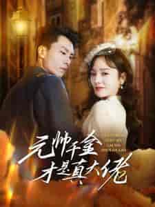 元帅千金才是真大佬(99集)李胜楠-搜外项目网