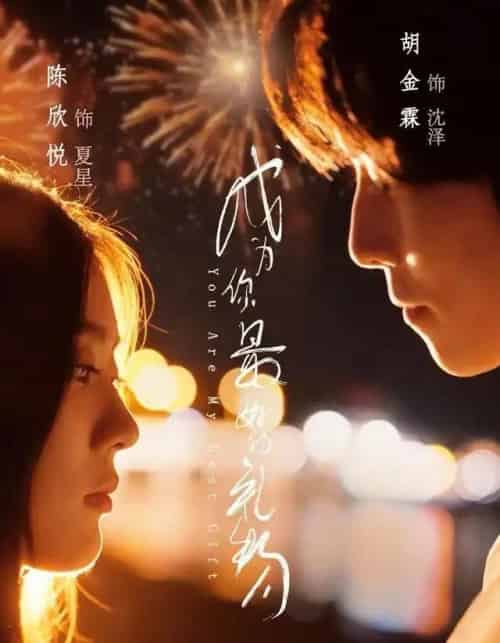 成为你最好的礼物（73集全）胡金霖＆陈欣悦-搜外项目网