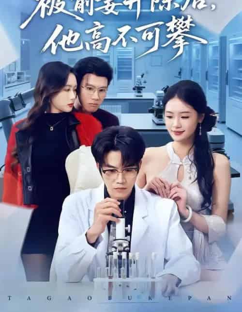 被前妻开除后，他高不可攀（40集全）肖康＆孙鑫-搜外项目网