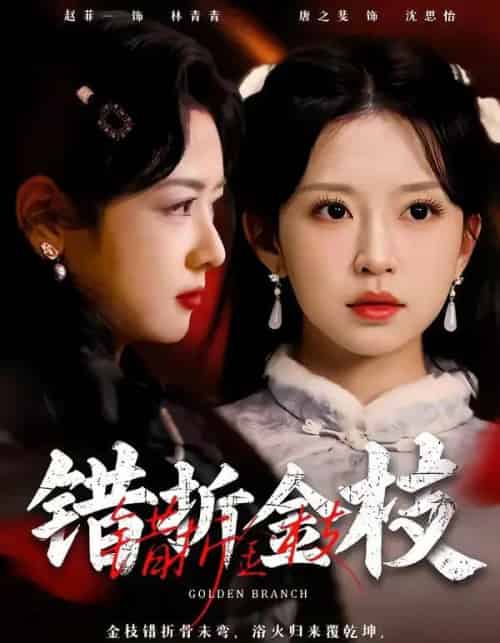 错折金枝（46集全）金泽元＆唐之斐-搜外项目网