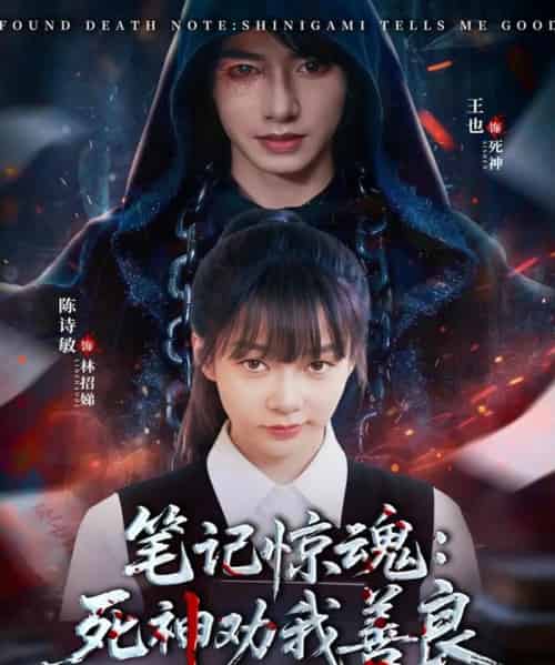 笔记惊魂：死神劝我善良（61集全）陈诗敏＆王也-搜外项目网
