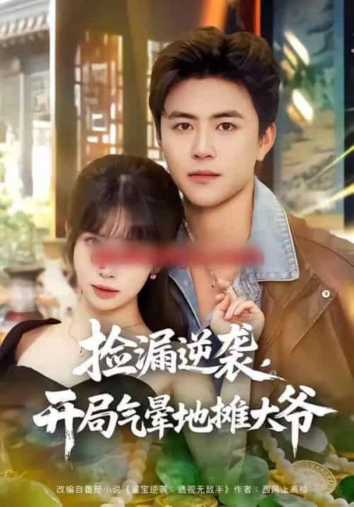 捡漏逆袭,开局气晕地摊大爷(80集全)王依海&蒋开鑫-搜外项目网